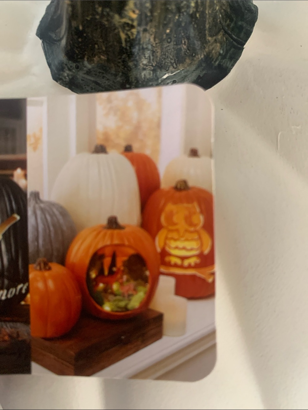 π- Ashland Cream Decorative Pumpkin with Gold Destressed Stem Med Size - Picture 6 of 7